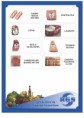 /album/catalogo-de-produtos/catalogo-rgs-pags-01a10-page-10-jpg/